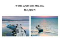深圳赛恩普电子新材料应用有限公司