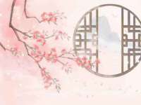 深圳赛恩普电子新材料应用有限公司