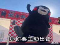 深圳赛恩普电子新材料应用有限公司