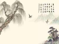 深圳赛恩普电子新材料应用有限公司