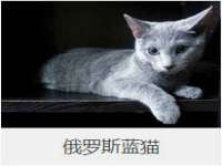 深圳赛恩普电子新材料应用有限公司