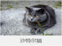 深圳赛恩普电子新材料应用有限公司