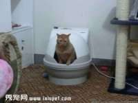 深圳赛恩普电子新材料应用有限公司