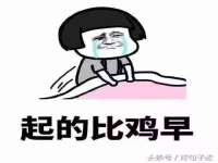 深圳赛恩普电子新材料应用有限公司