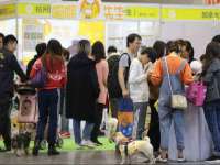 深圳赛恩普电子新材料应用有限公司