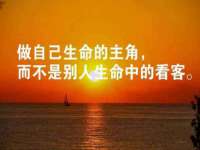 深圳赛恩普电子新材料应用有限公司