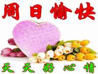 深圳赛恩普电子新材料应用有限公司