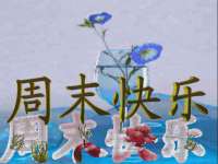 深圳赛恩普电子新材料应用有限公司