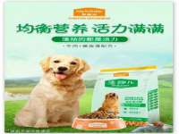 深圳赛恩普电子新材料应用有限公司