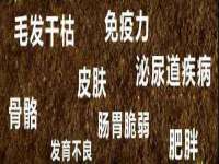 深圳赛恩普电子新材料应用有限公司
