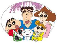 深圳赛恩普电子新材料应用有限公司