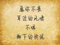 深圳赛恩普电子新材料应用有限公司