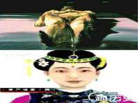 深圳赛恩普电子新材料应用有限公司