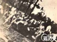 深圳赛恩普电子新材料应用有限公司