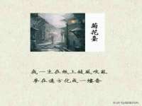 深圳赛恩普电子新材料应用有限公司