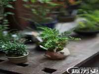 深圳赛恩普电子新材料应用有限公司