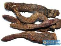深圳赛恩普电子新材料应用有限公司