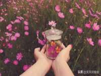 深圳赛恩普电子新材料应用有限公司