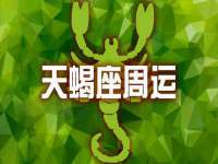 深圳赛恩普电子新材料应用有限公司
