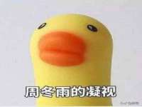 深圳赛恩普电子新材料应用有限公司