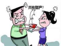深圳赛恩普电子新材料应用有限公司