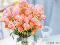 深圳赛恩普电子新材料应用有限公司