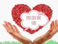 深圳赛恩普电子新材料应用有限公司